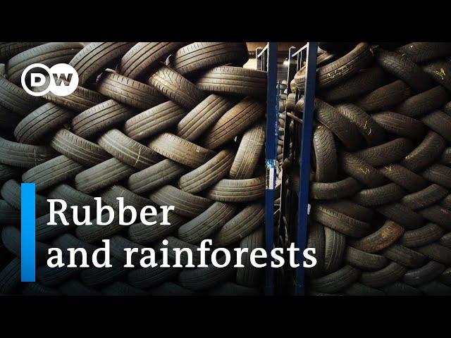 How car tires drive deforestation | DW Documentary