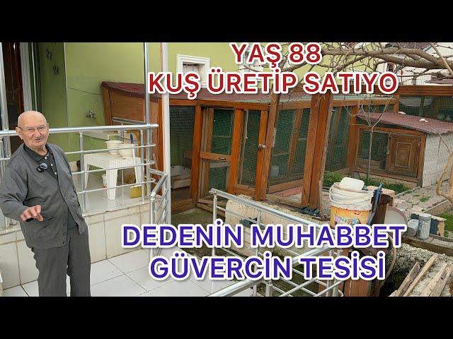 88 YAŞINDA BAKIN NASIL KUŞÇU