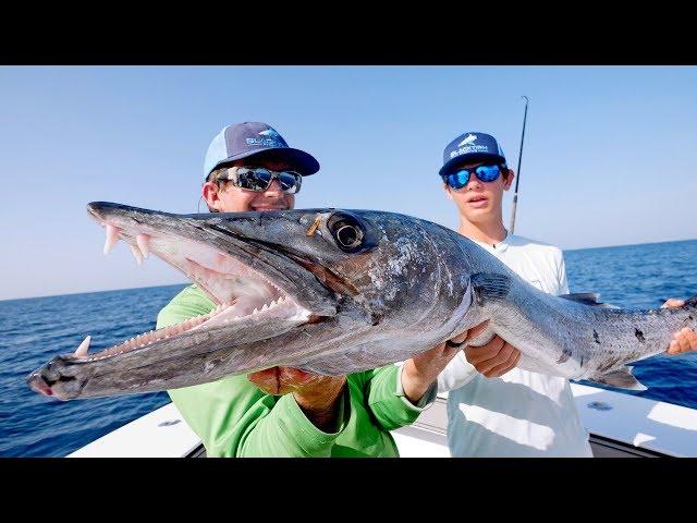 BIGGEST Kingfish I've EVER Seen while Barracuda Fishing!!