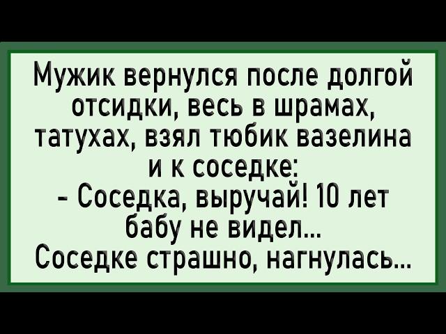 Как соседке скорую вызывали! Сборник свежих анекдотов! Юмор!