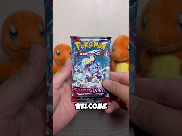 EPISODE 24: just a chill guy opening a booster pack (SCARLET & VIOLET) #pokemontcg ##boosterpack