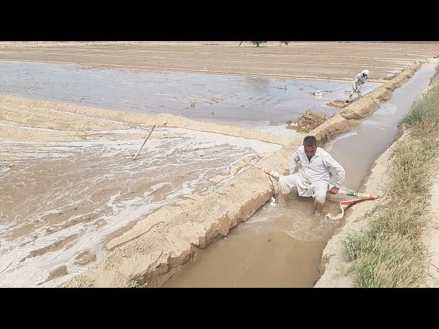 खेत में पानी लगाना हुआ अब और भी आसान Indian तकनीक भारतीय(3)