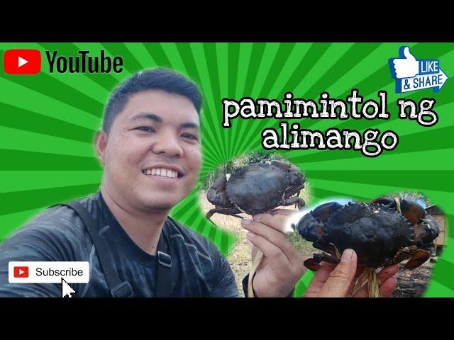 EP1-Crab hunting || pamimintol ng alimango || buhay probinsya || Haragan