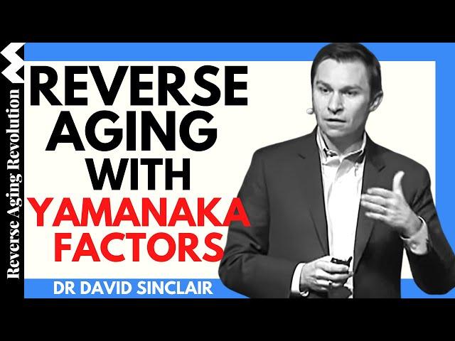 REVERSE AGING With Yamanaka Factors | Dr David Sinclair Interview Clips