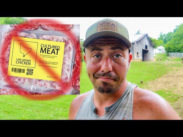 Cultured/Lab Meat Take Over | Everything Explained