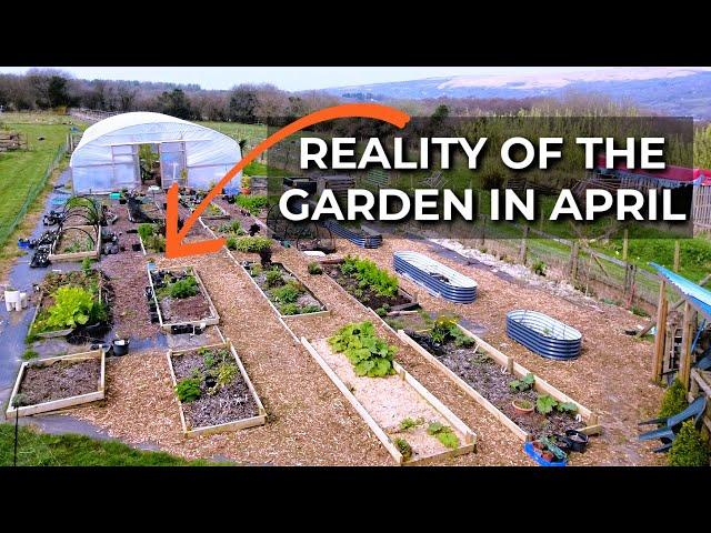 Garden Tour in early April | Homestead Garden | Growing for Self Sufficiency