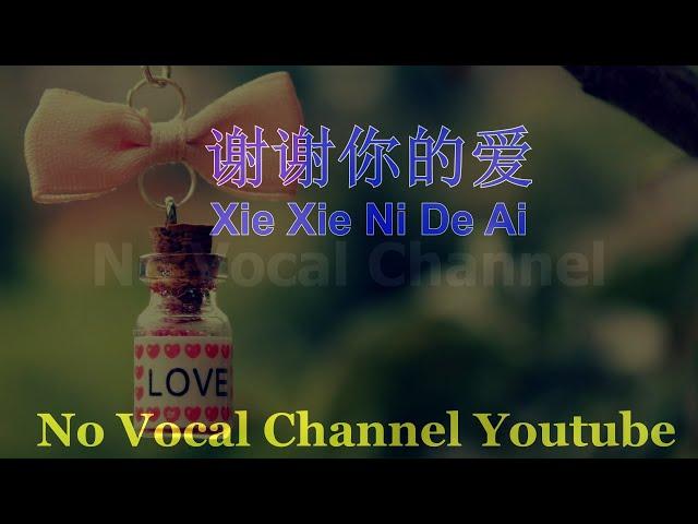 Xie Xie Ni De Ai ( 谢谢你的爱 ) Male Karaoke mandarin - No Vocal