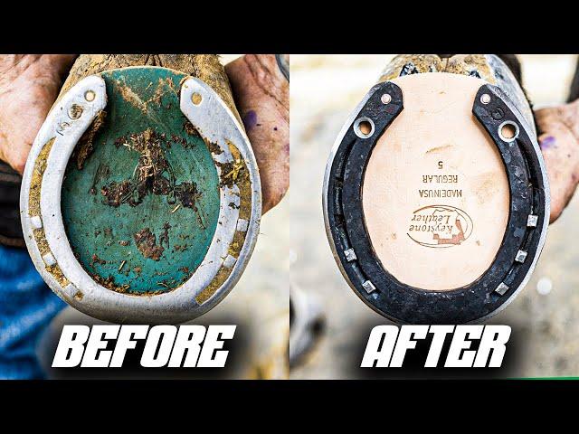 Satisfying Horse Hoof Restoration | 4K ASMR