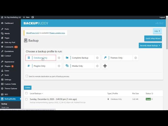 How To Backup The WordPress Database in BackupBuddy