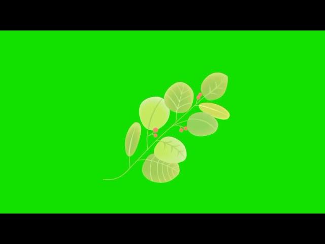 Beautiful Rose Copyright free || spring season background video effects || Rose | No copyright video