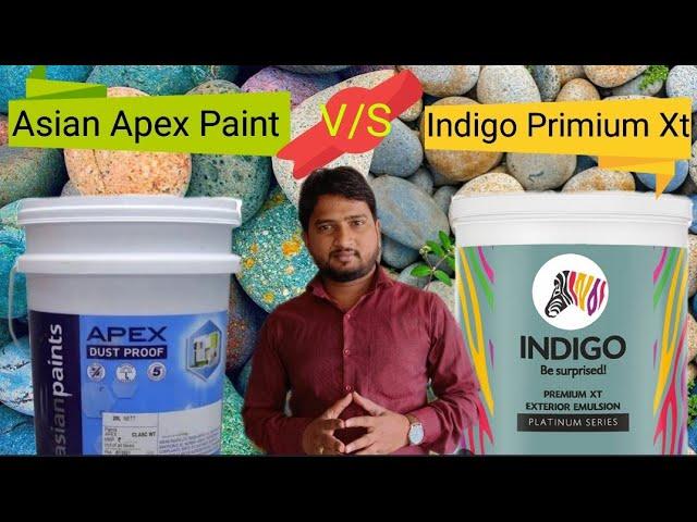Asian Apex vs Indigo primium XT exterior emulsion | asian vs indigo | #thepaintguru #asianpaints