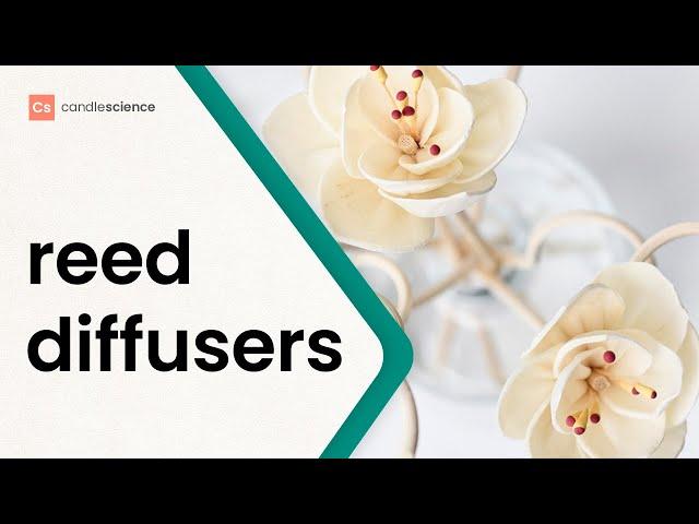 Reed Diffusers for Beginners: Everything you need to get started with heatless home fragrance