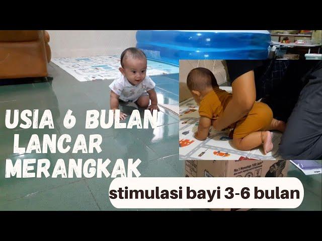 CARA MUDAH MELATIH BAYI CEPAT MERANGKAK / STIMULASI BAYI 3-6 BULAN