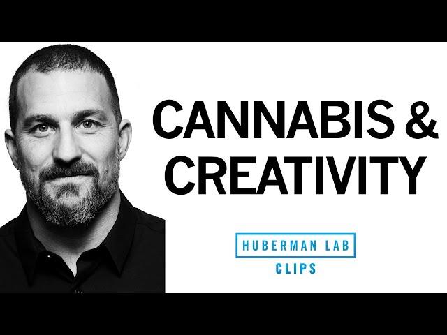 Does Cannabis (Marijuana) Use Increase Creativity? | Dr. Andrew Huberman