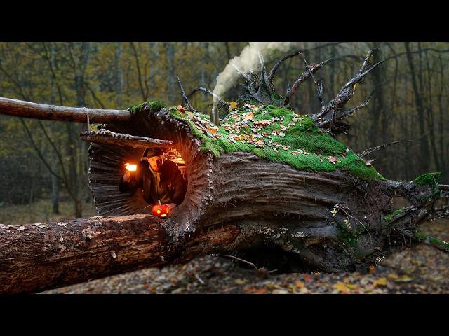 Building a Warm and Cozy Hollow for Survival, in the root of a fallen spruce. Secret cave, Bushcraft