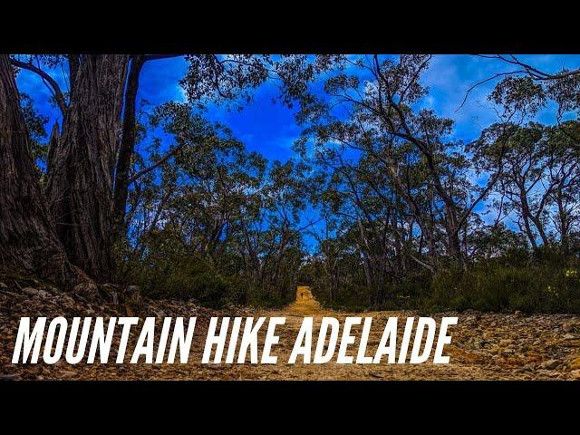 MUST SEE BEFORE YOUR HIKE TO MOUNT LOFTY IN ADELAIDE