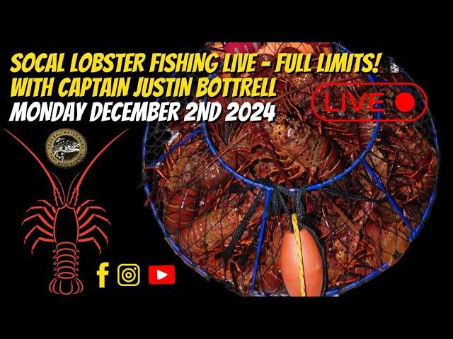 Live Lobster Fishing W/ Justin Bowline Sportfishing | YSWG Show w/ Captain Dave Hansen