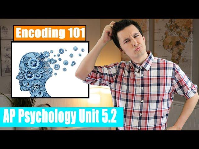 Memory & The Encoding Process  [AP Psychology Unit 5 Topic 2] (5.2)