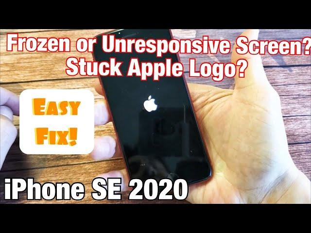 iPhone SE 2 (2020): Frozen or Stuck on Apple Logo or Unresponsive Screen (FIXED)