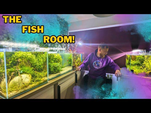 The BIG cleanout! Everything I do & look for when maintaining my fish room!