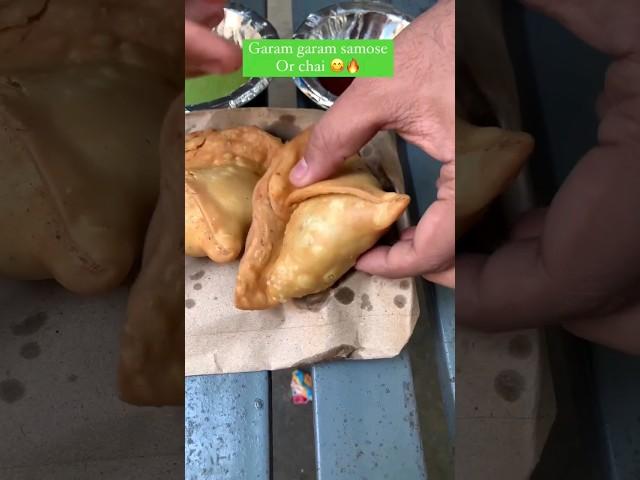 Garam Garam Samosa | Indian Street Food #samosa #samosachaat #indianstreetfood #shorts