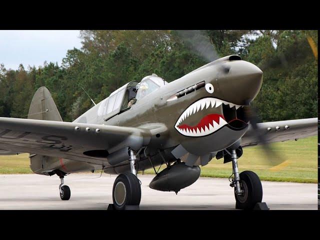 2020 P-40 E Warhawk Flight