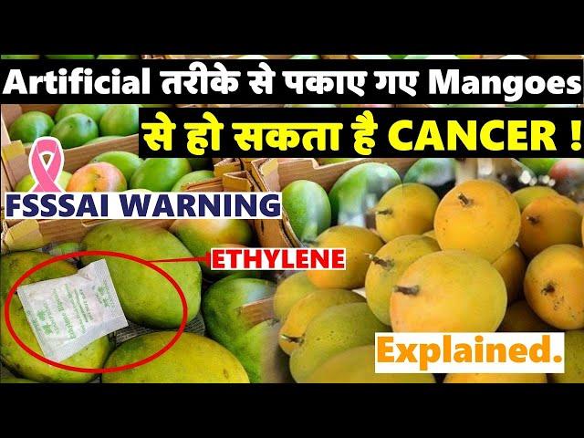 Think before Eating Mangoes ! Artificially Ripened Mangoes can cause cancer | Explained