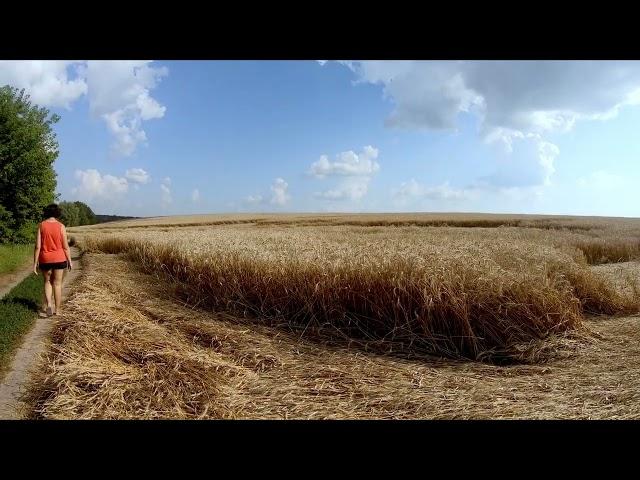 Village in Cherkasy Oblast Ukraine