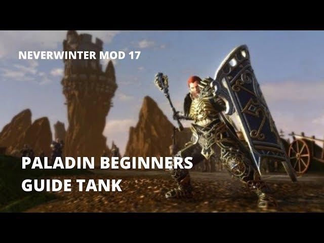 Neverwinter Mod 17 Paladin Beginners Guide (Tank)