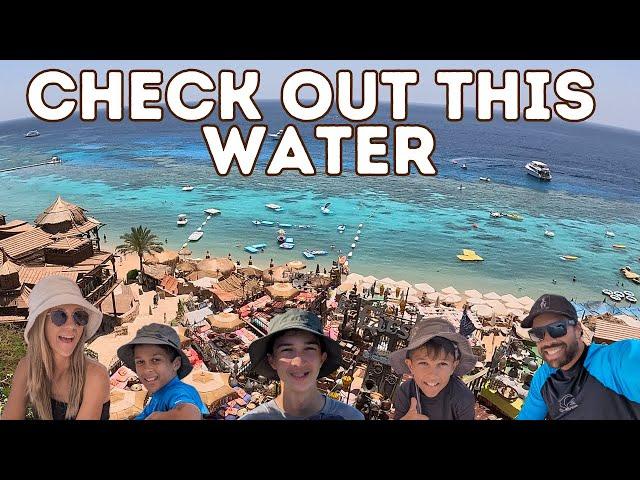 SHARM EL SHEIKH - WE COULD LIVE HERE!! - Egypt Part 2