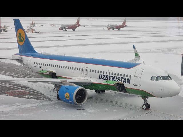 Uzbekistan Airways Airbus A320neo | Flight from Saint Petersburg to Tashkent