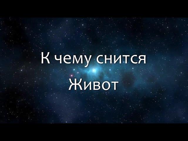 К чему снится Живот (Сонник, Толкование снов)