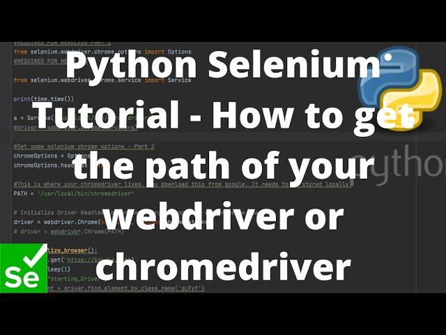 Python Selenium Tutorial - How to get the path of your webdriver or chromedriver