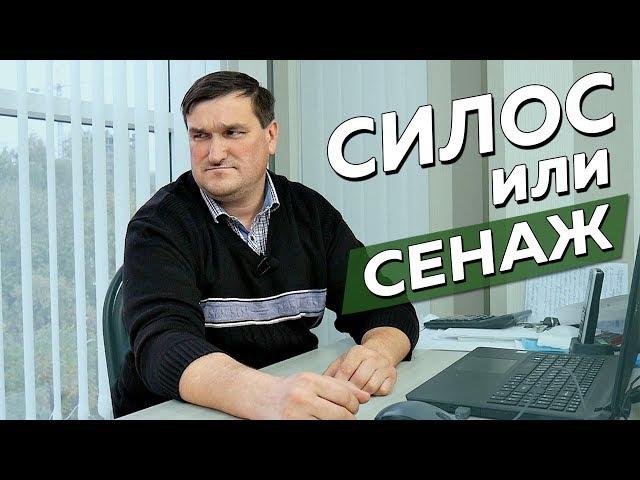 СИЛОС или СЕНАЖ?