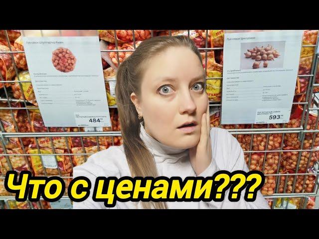 ЧТО С ЦЕНАМИ | Лук сеянец стал золотым | Дом в деревне | Деревенская жизнь 