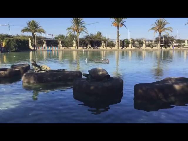 Jardín de las Naciones con Enjoy Torrevieja