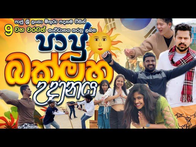 කොරියාවේ අපේ අවුරුදු උත්සවේ  ආස හිතෙයි New Year celebration 2024 in south korea #korean #sinhala