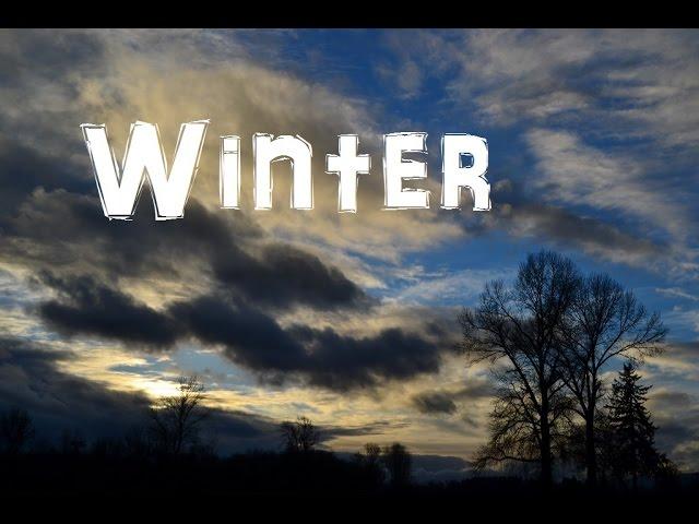 (The Northwest Forager) Ep. 10 Winter Solstice