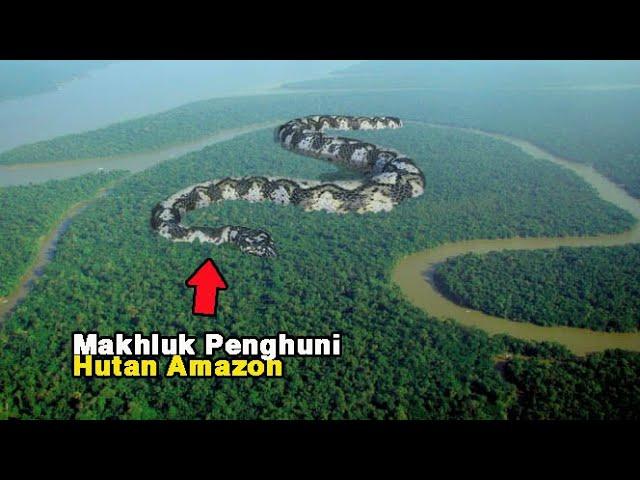 6 Misteri yang Sangat Menakutkan di Hutan Amazon‼️