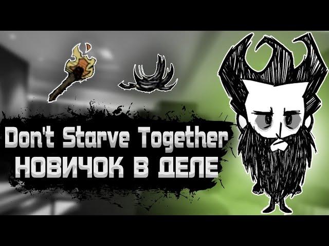 ДОНТ СТАРВ ТУГЕЗЕР НОВИЧОК И ОБНОВЛЕНИЕ | Don't Starve Together