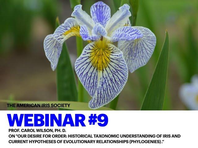 AIS Webinar #9 "Our desire for order: historical taxonomic understanding of Iris..."