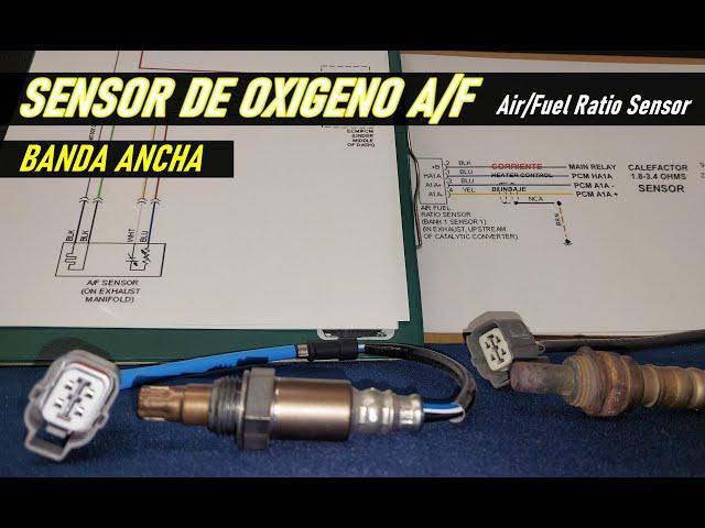 Sensor de oxigeno A/F o de banda ancha, como funciona, su señal y como probarlo