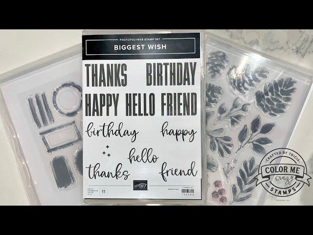 Stampin'up- (2of2) How to store NEW Photopolymer stamps & see through: A simple way to modify case!