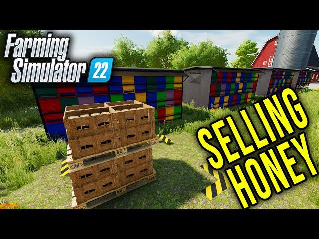 WHERE AND HOW TO SELL HONEY - Farming Simulator 22 Tips #2 | Radex