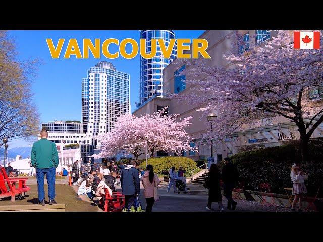 Life in Vancouver Canada 4K - Downtown Vancouver Walking Tour on March 24 2024