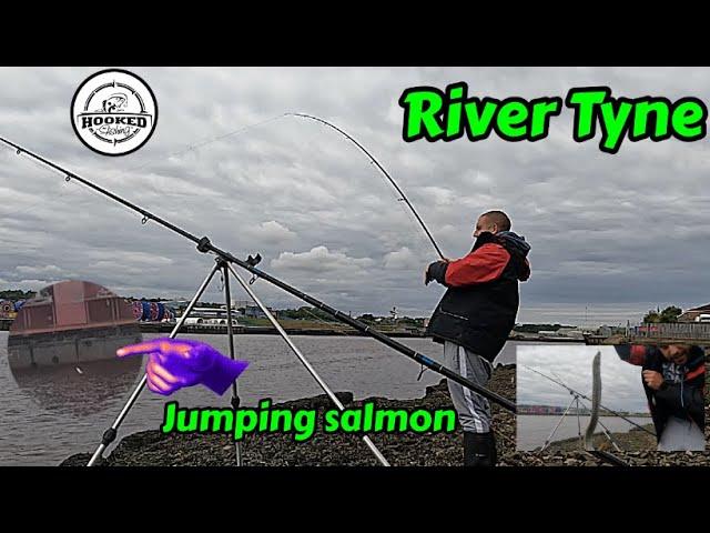 Fishing down the Tyne | infested with eels