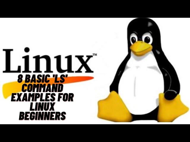 8 Basic 'ls' Command Examples for Linux Beginners