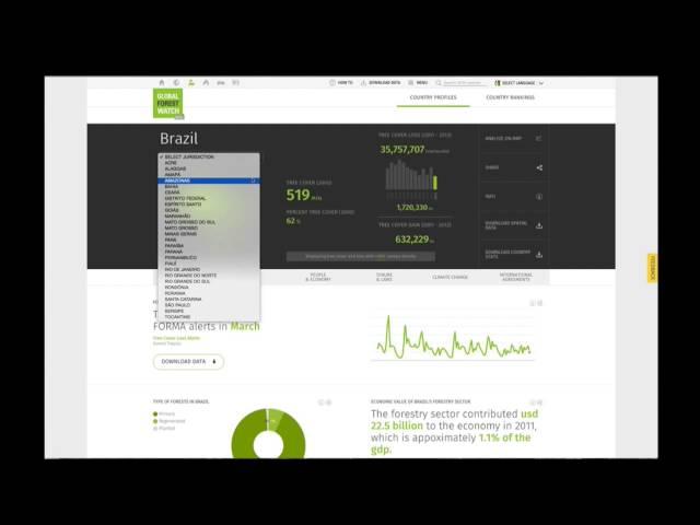 GFW Tutorial | View Forest Statistics