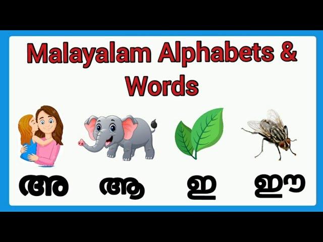 Malayalam alphabets and words with pictures/malayalam swaraksharangal words/malayalam letters words