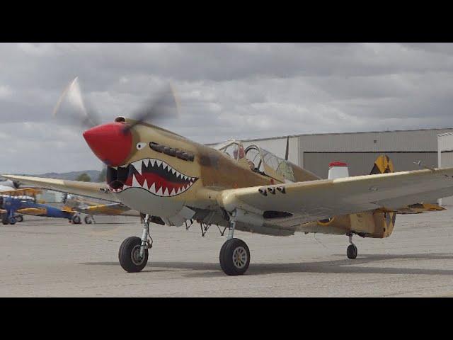 P-40N Curtiss Warhawk Flying Demo